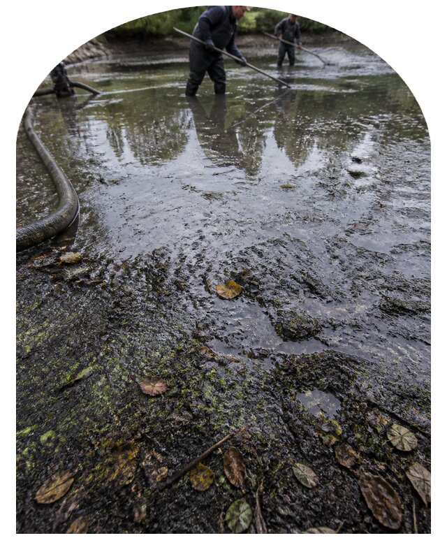 Очистка пруда в Балахне от ила мусора и водорослей с вывозом